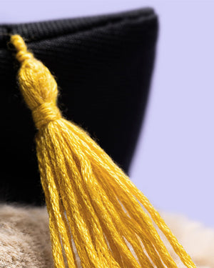 Jellycat Toy Jellycat Bashful Graduation Outfit