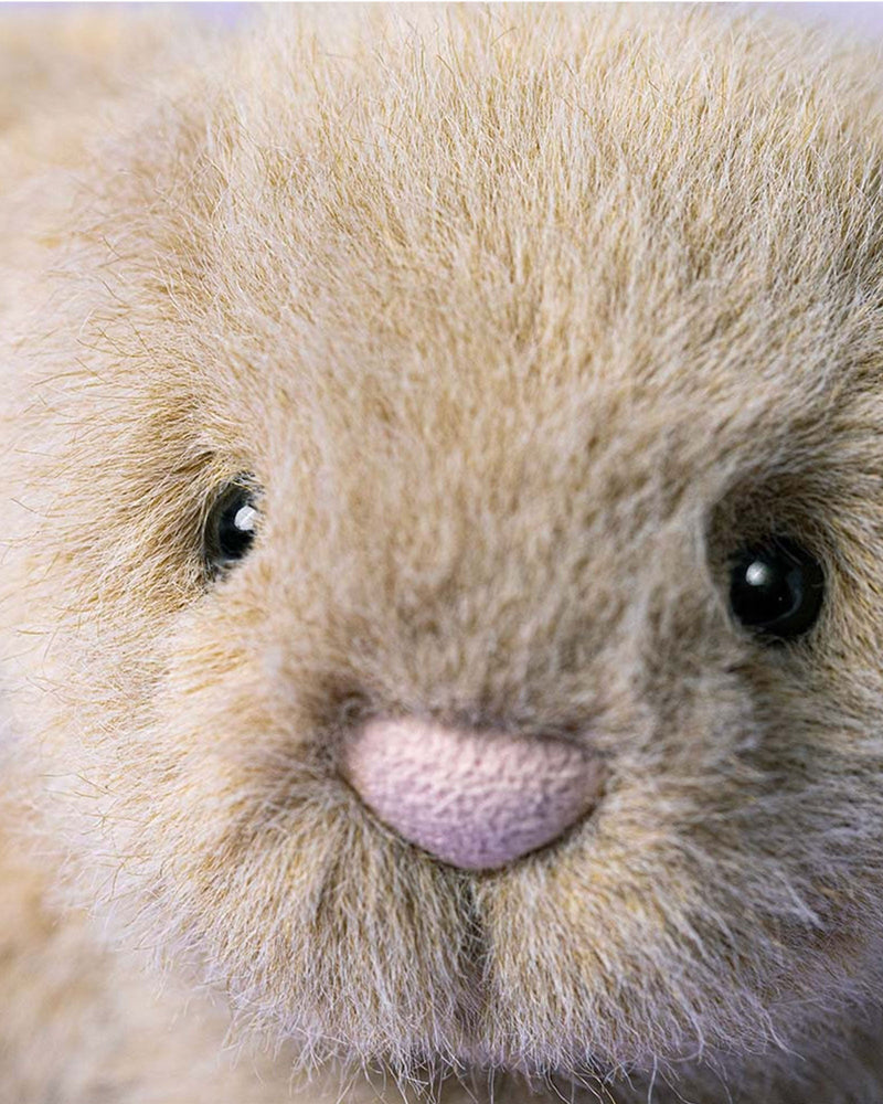 Jellycat Toy Jellycat Oat Flufflet Bunny