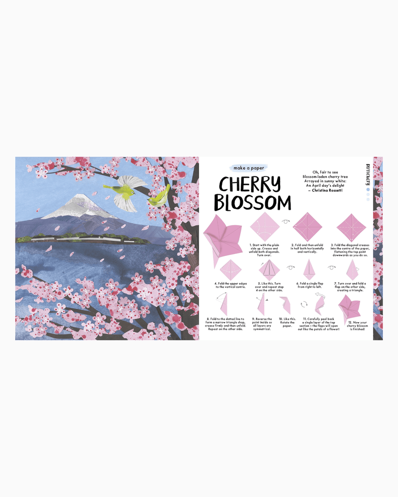 Clover Robin Book Blossom Origami