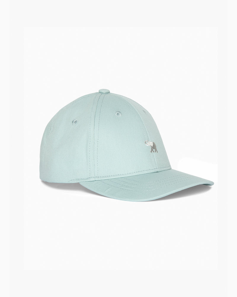 Thomas Brown Cap Charlie Cap in Sage