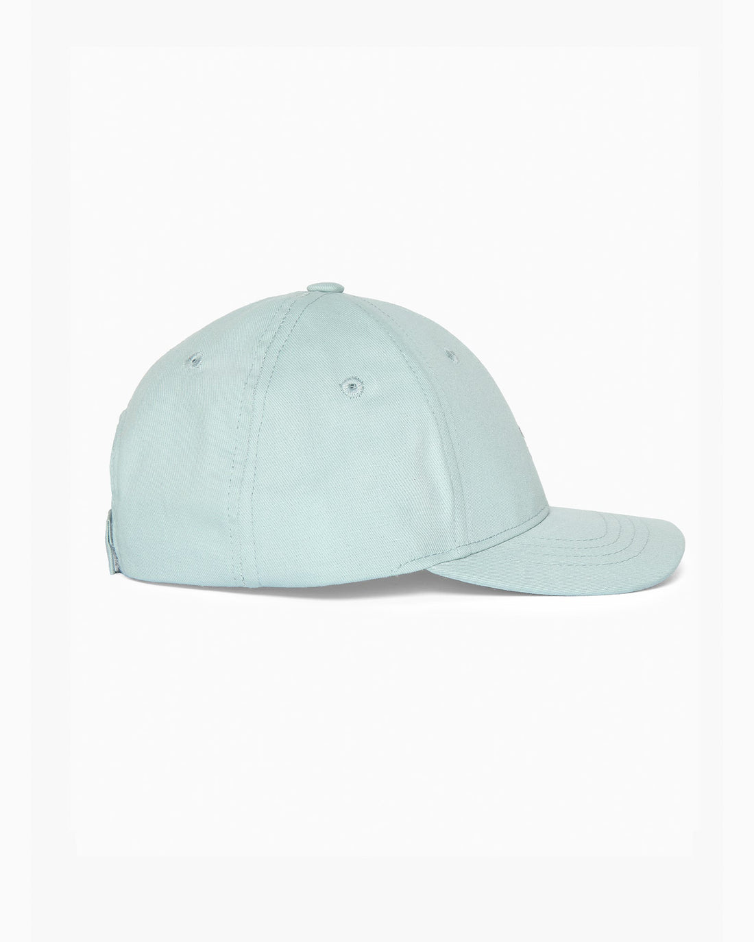 Thomas Brown Cap Charlie Cap in Sage