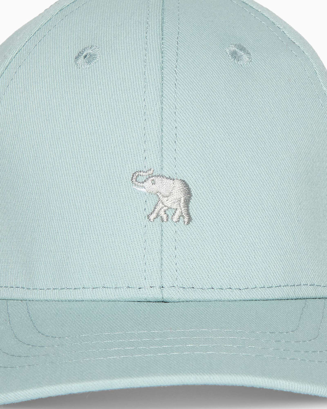 Thomas Brown Cap Charlie Cap in Sage