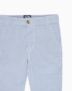 Chelsea Clothing Company Trousers Jacob Tousers in Pale Blue Stripe
