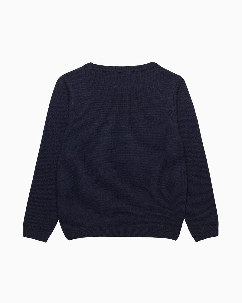Chelsea Clothing Company Jumper Dinosaur Jumper