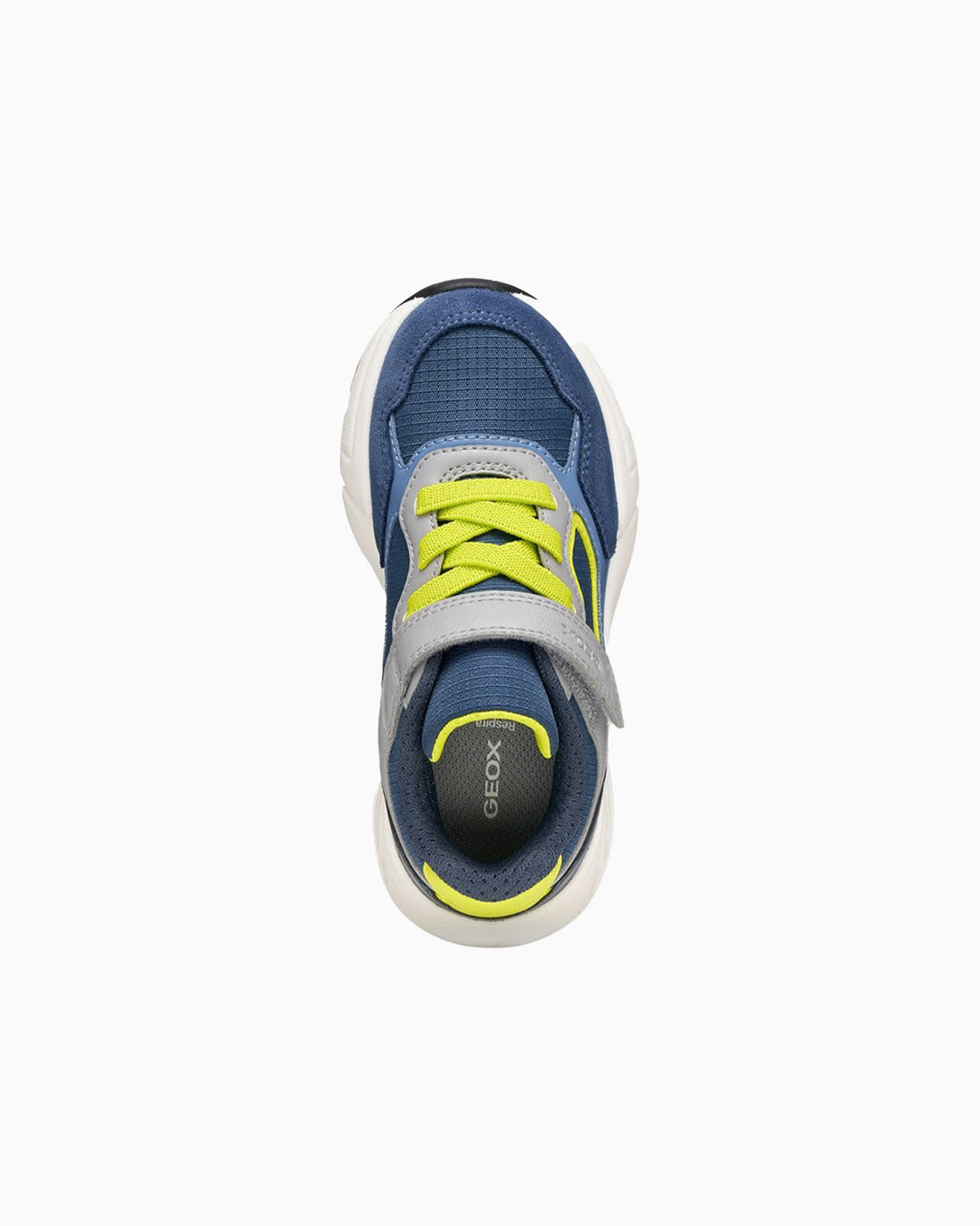 Goex Trainers Geox Jr Loftus Trainers in Navy/Blue Grey
