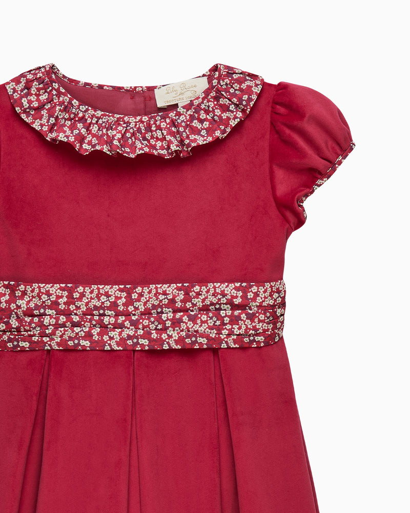 Lily Rose Gold Dress Velvet Party Dress in Red Misti Valeria