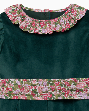 Lily Rose Gold Dress Velvet Party Dress in Red Hedgerow