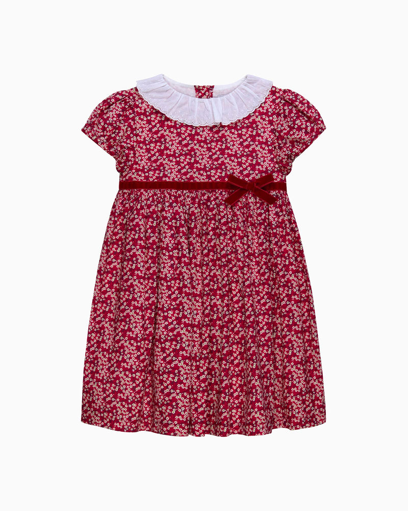 Lily Rose Dress Red Mitsi Valeria Dress