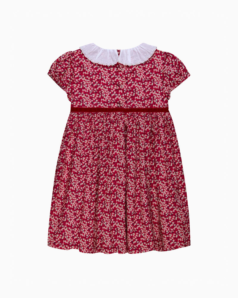Lily Rose Dress Red Mitsi Valeria Dress