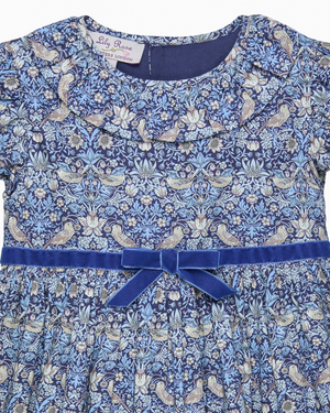 Lily Rose Dress Strawberry Thief Dress