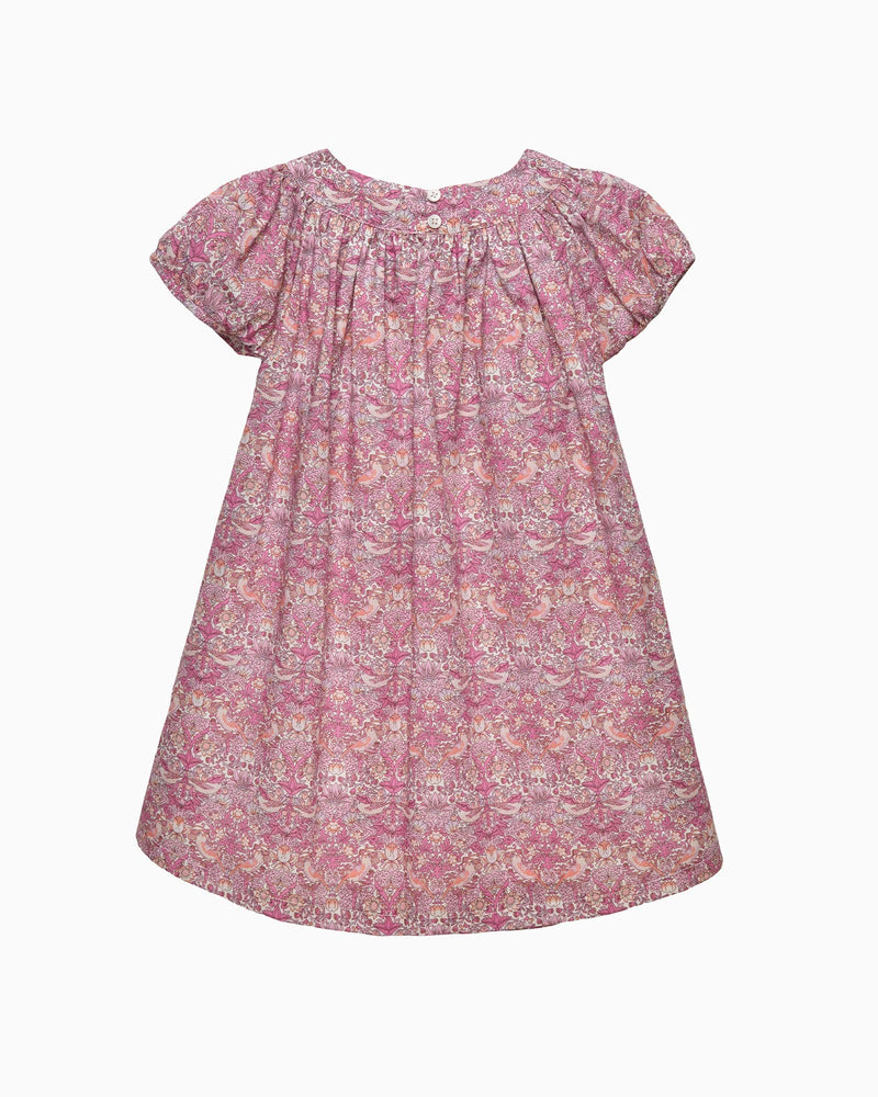 Lily Rose Dress Strawberry Thief Dress