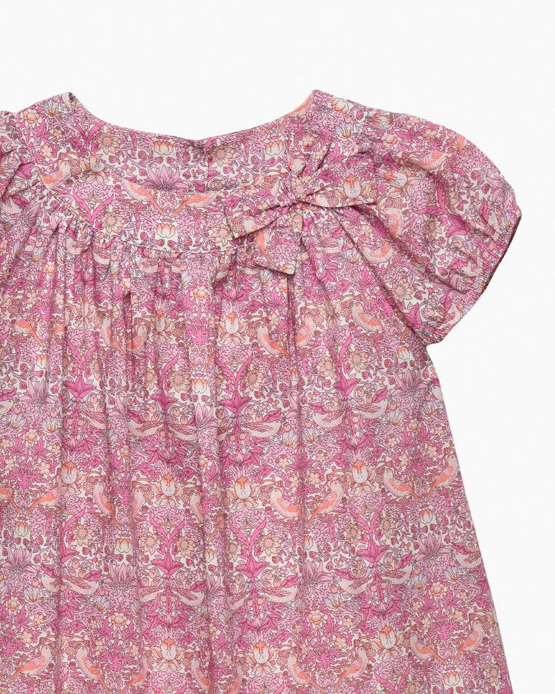 Lily Rose Dress Strawberry Thief Dress