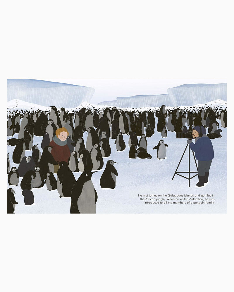 Maria Vegara Book Little People Big Dreams Advent Calendar Book