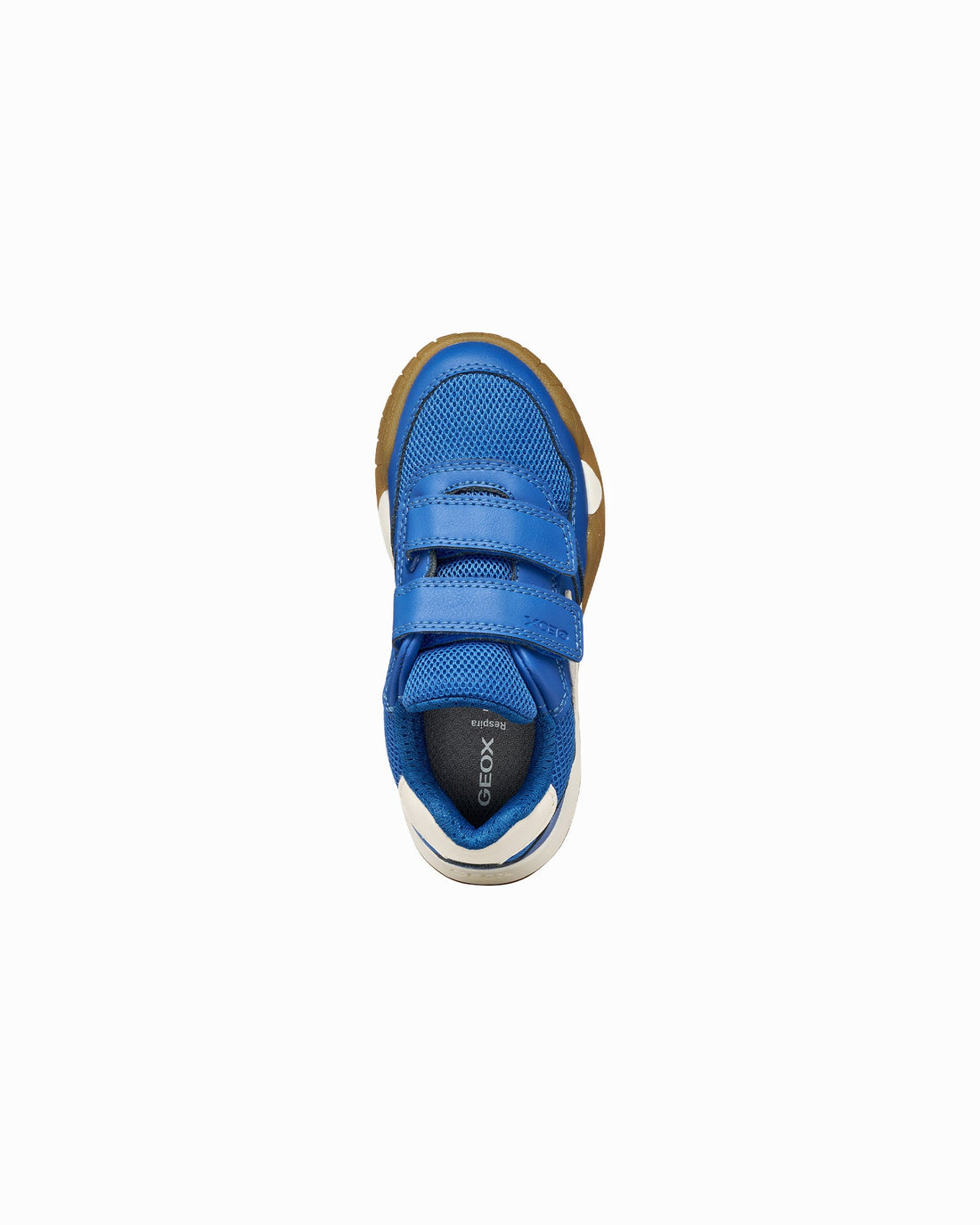 Geox Trainers Geox Rann-E Trainers in Royal/White