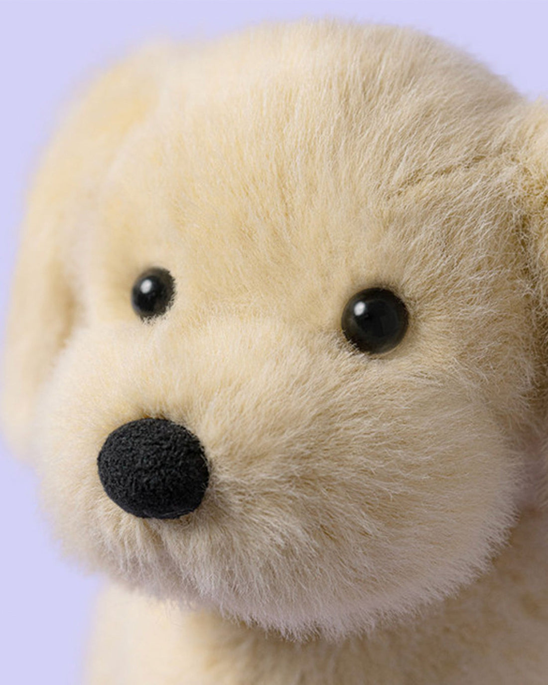 Jellycat Toy Jellycat Golden Puppy