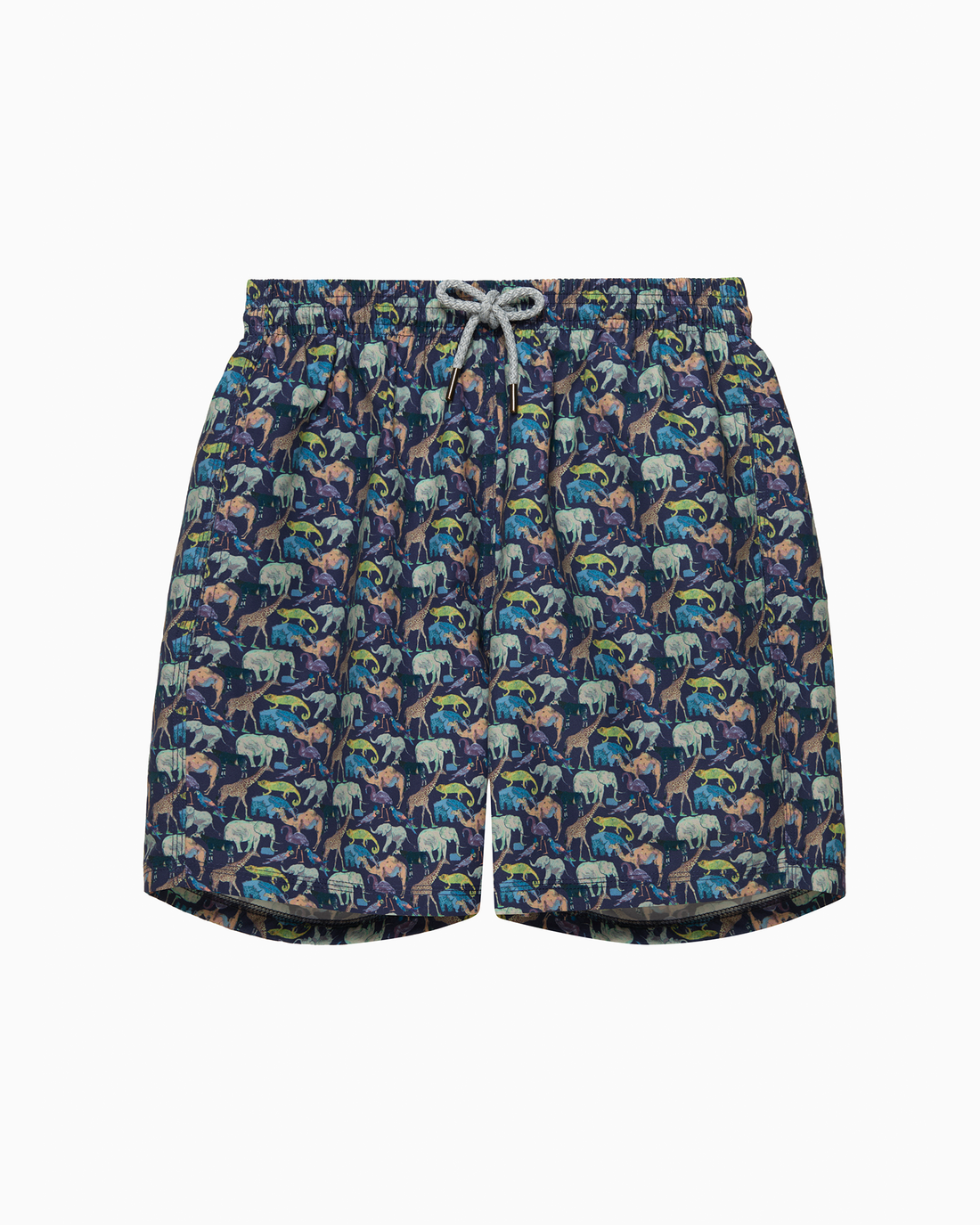 Hamptons Swim Swimshorts Mens Swimshorts in Zoo