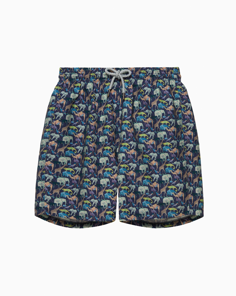 Hamptons Swim Swimshorts Mens Swimshorts in Zoo