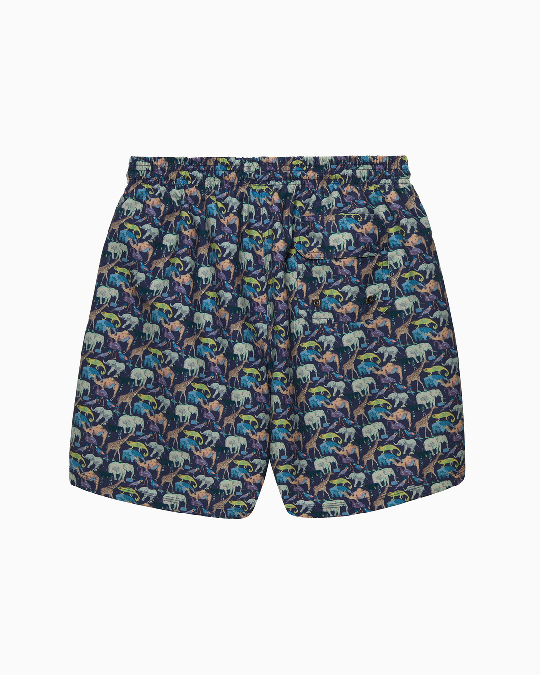 Hamptons Swim Swimshorts Mens Swimshorts in Zoo