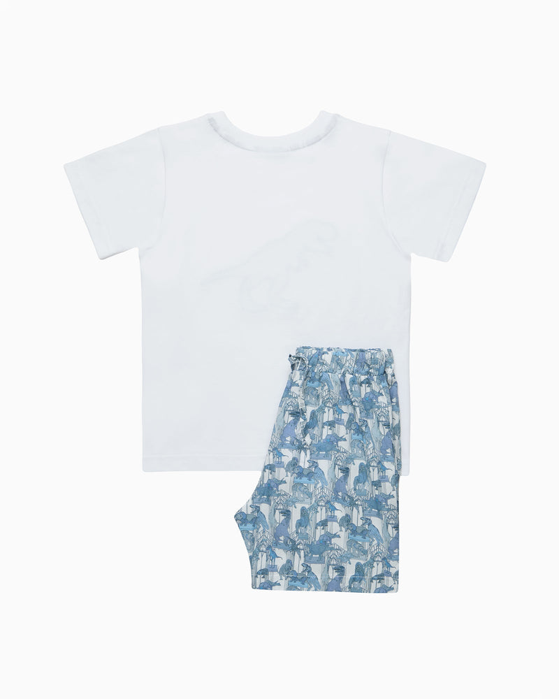 Original Pyjama Compnay Pyjamas Dinosaur Jersey Pyjamas
