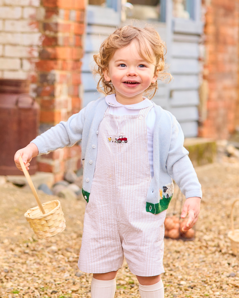 Chelsea Clothing Company Bib Shorts Baby Alexander Bib Shorts in Oatmeal Stripe