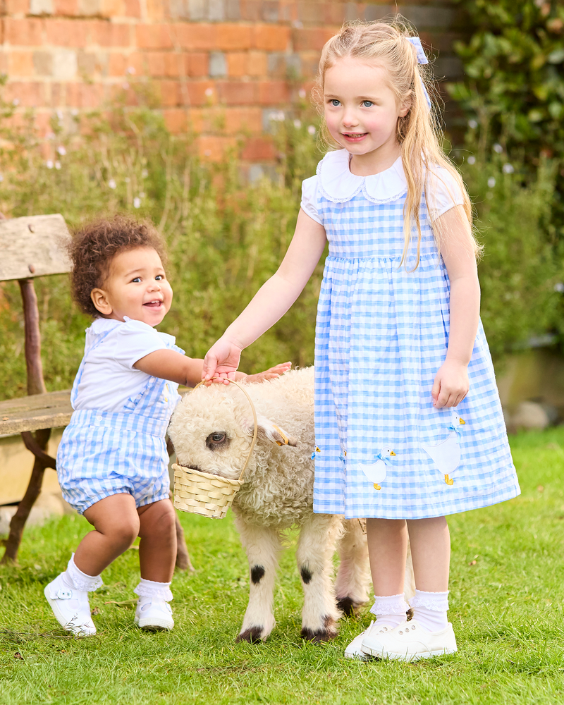 Confiture Dress Gingham Duck Dress