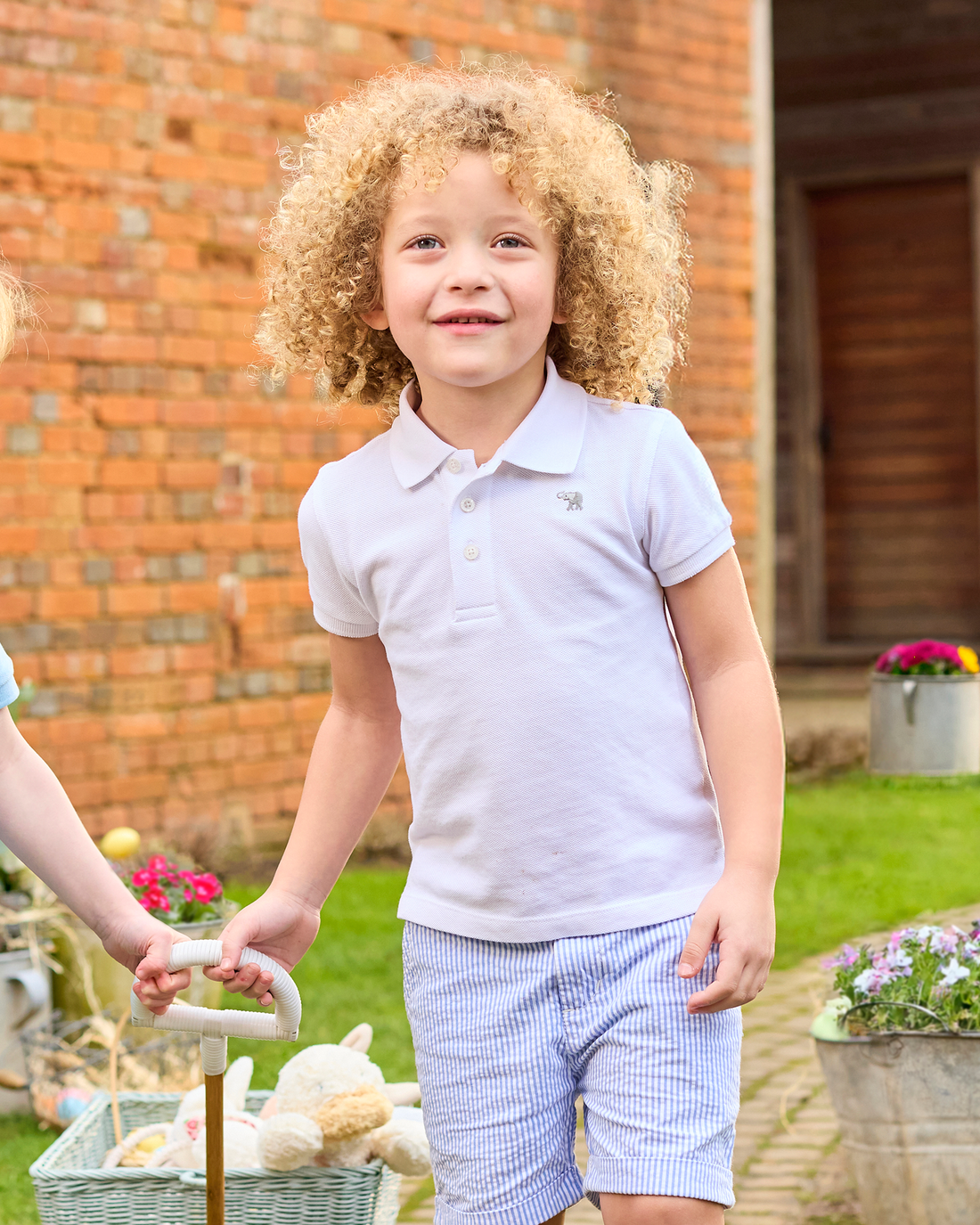 Thomas Brown Shorts Charlie Chino Shorts in Blue Stripe
