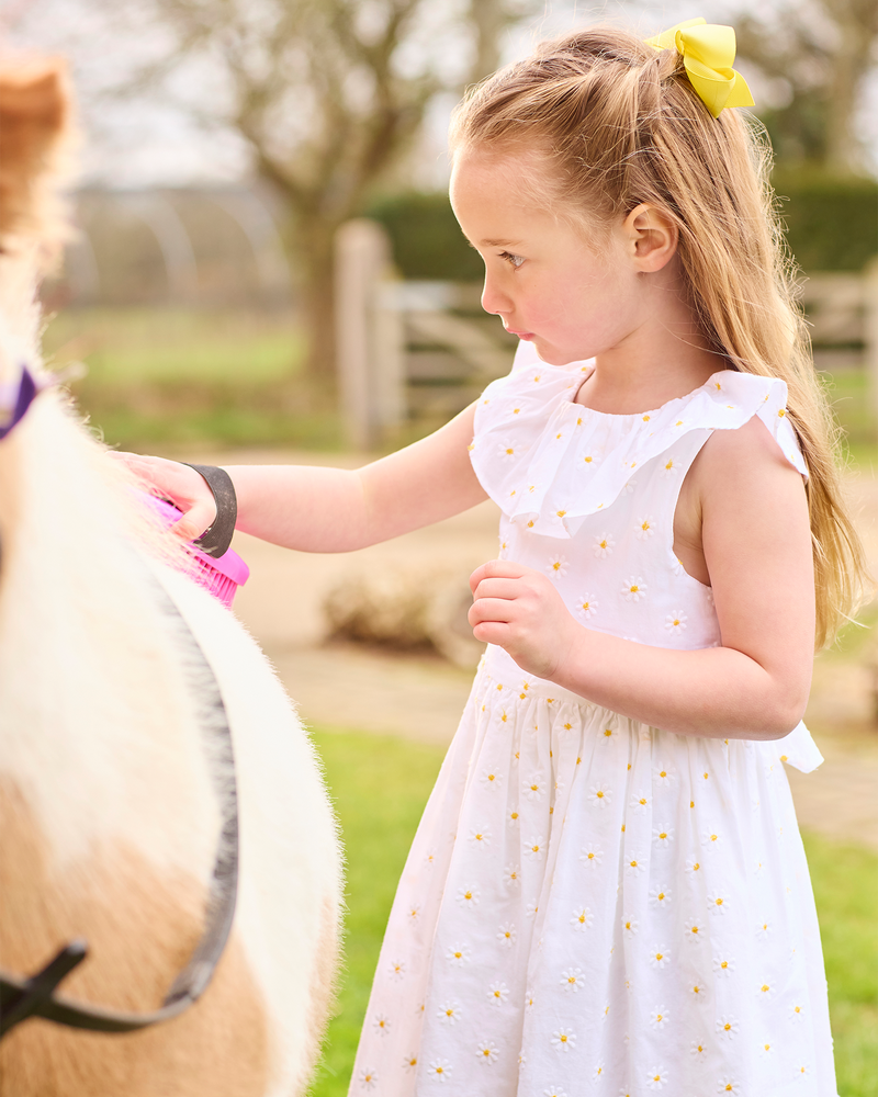 Confiture Dress Daisy Wide Willow Dress