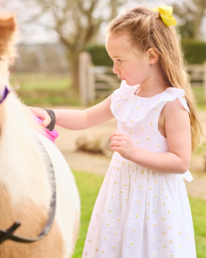 Confiture Dress Daisy Wide Willow Dress