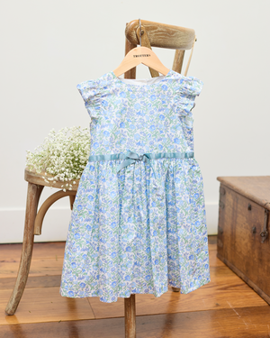 Lily Rose Dress Baby Bluebell Dress