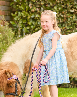Lily Rose Dress Bluebell Dress