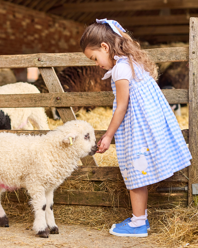 Confiture Dress Gingham Duck Dress