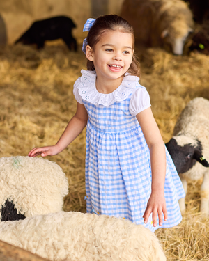 Confiture Dress Gingham Duck Dress