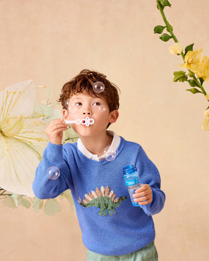 Chelsea Clothing Company Jumper Dinosaur Jumper