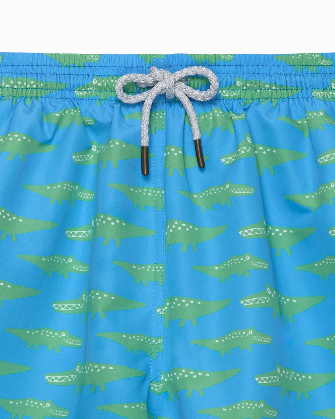 Hampton Swim Swimshorts Men's Swimshorts in Crocodile