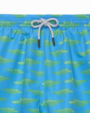 Hampton Swim Swimshorts Men's Swimshorts in Crocodile