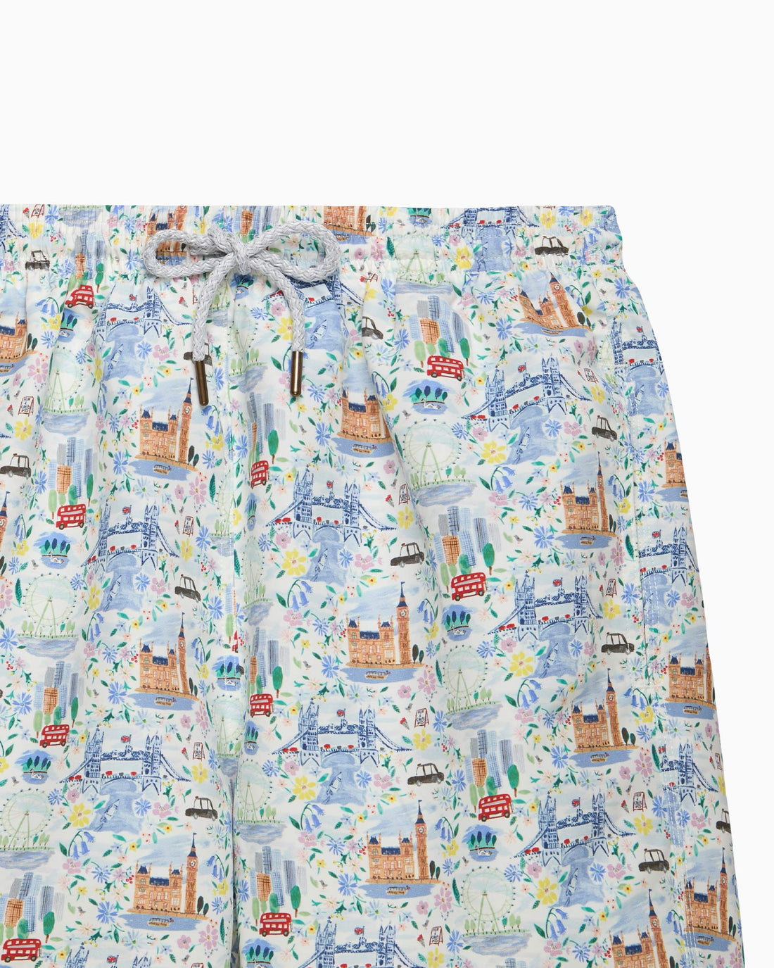 Hampton Swim Swimshorts Men's Swimshorts in London Scenes