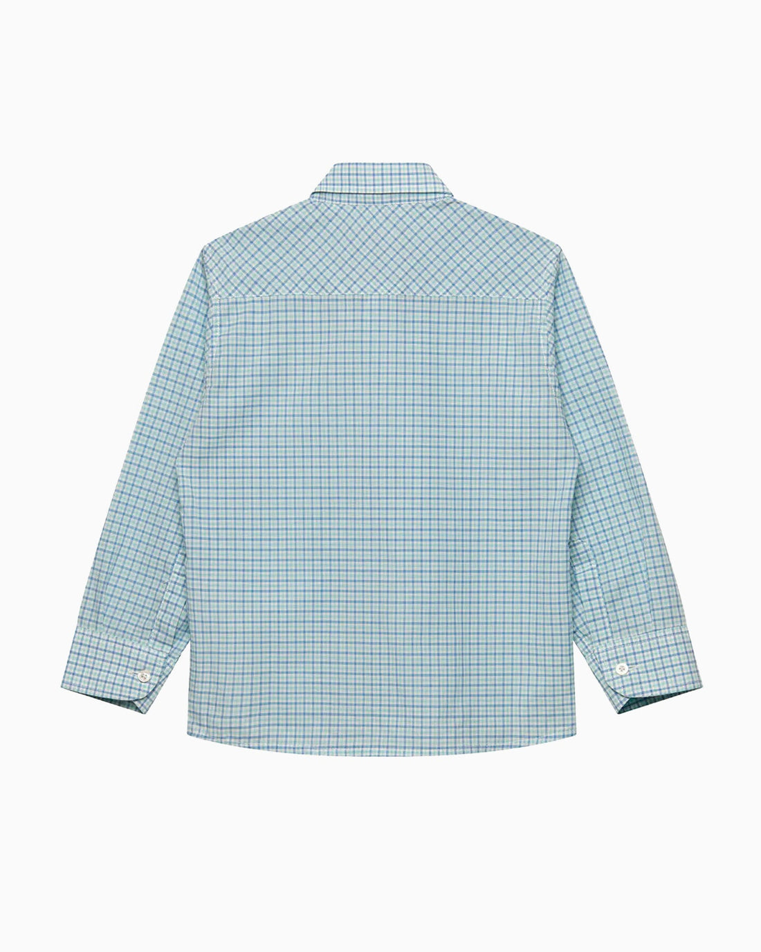 Chelsea Clothing Company Shirt Thomas Shirt in Sage Check