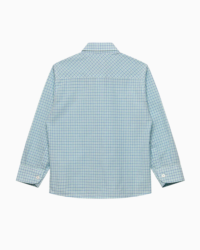 Chelsea Clothing Company Shirt Thomas Shirt in Sage Check