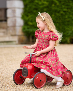 Lily Rose Gold Dress Fawn Smocked Party Dress