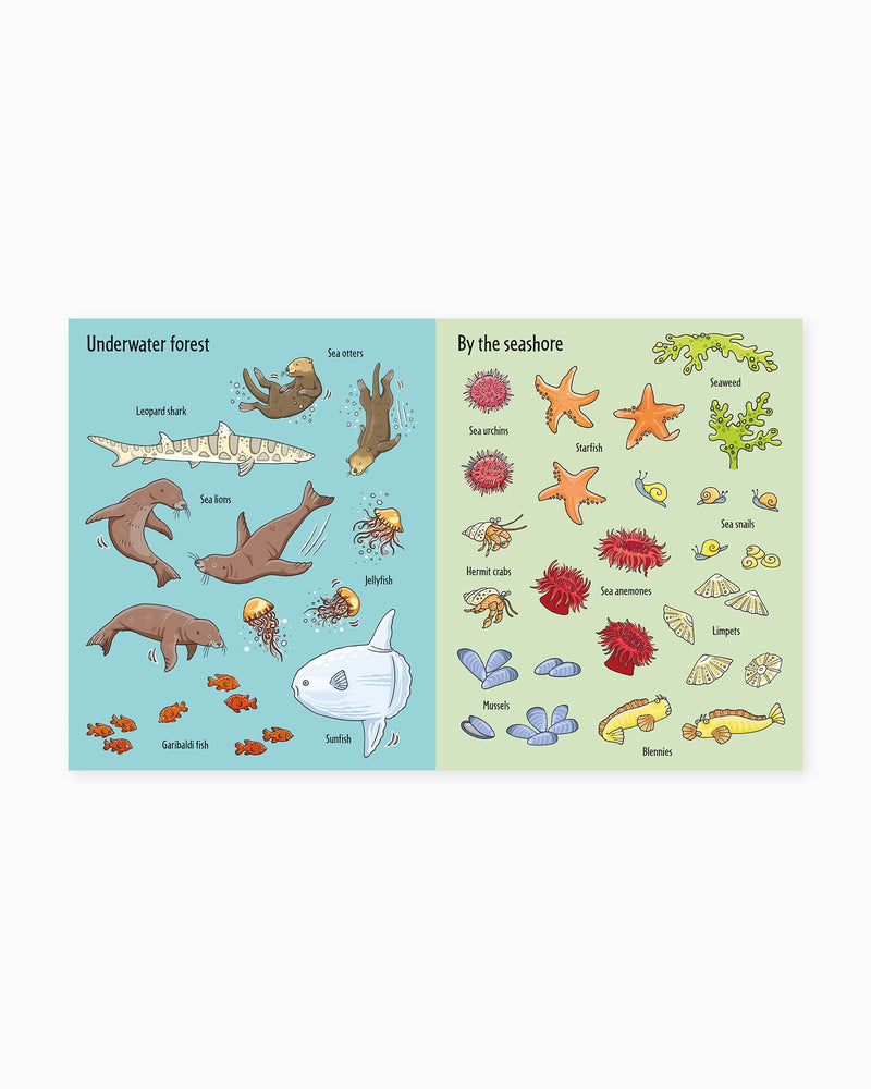 Usborne Book Usborne's First Sticker Book Under The Sea