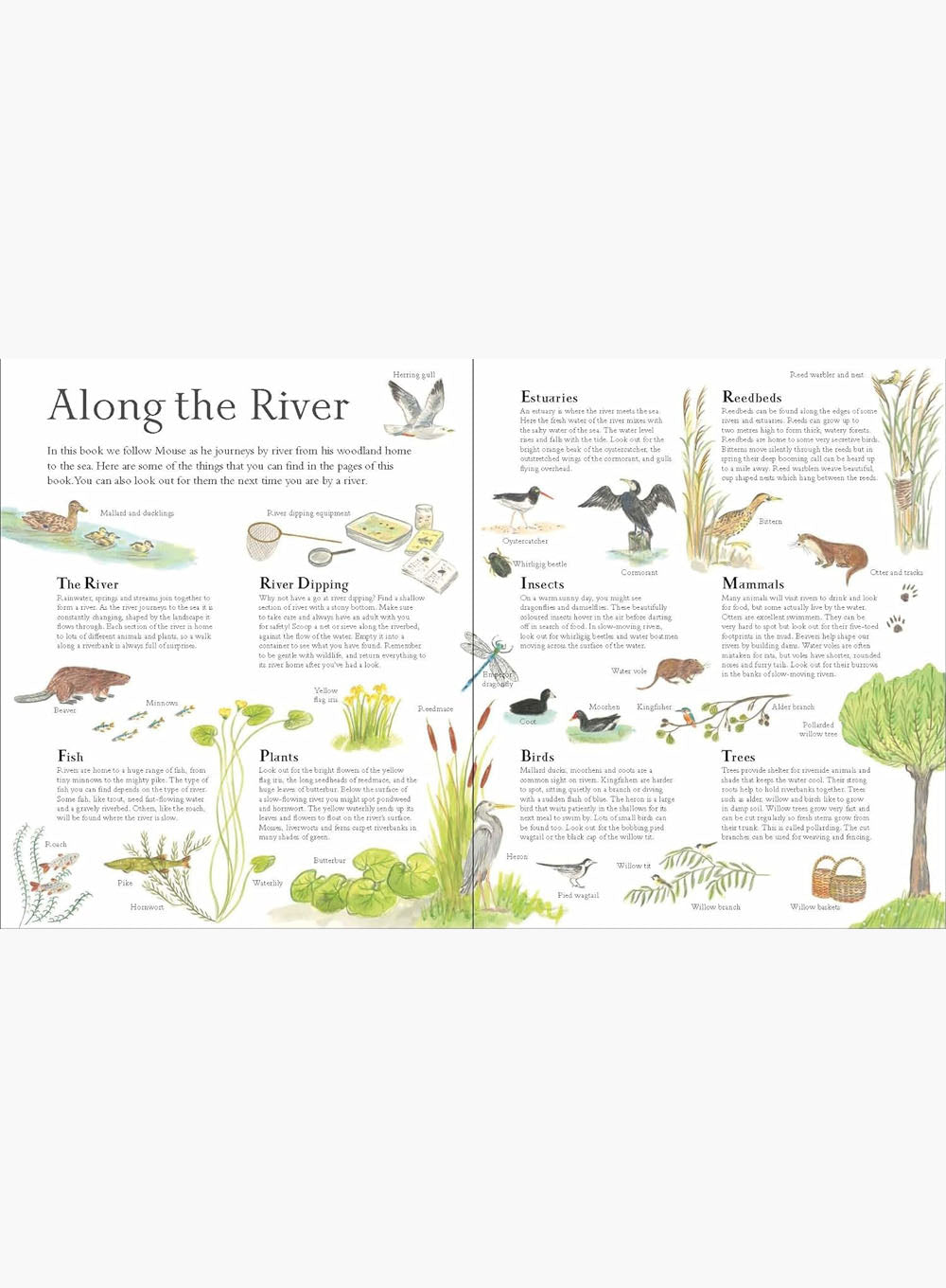 Alice Melvin Book Mouse on the River