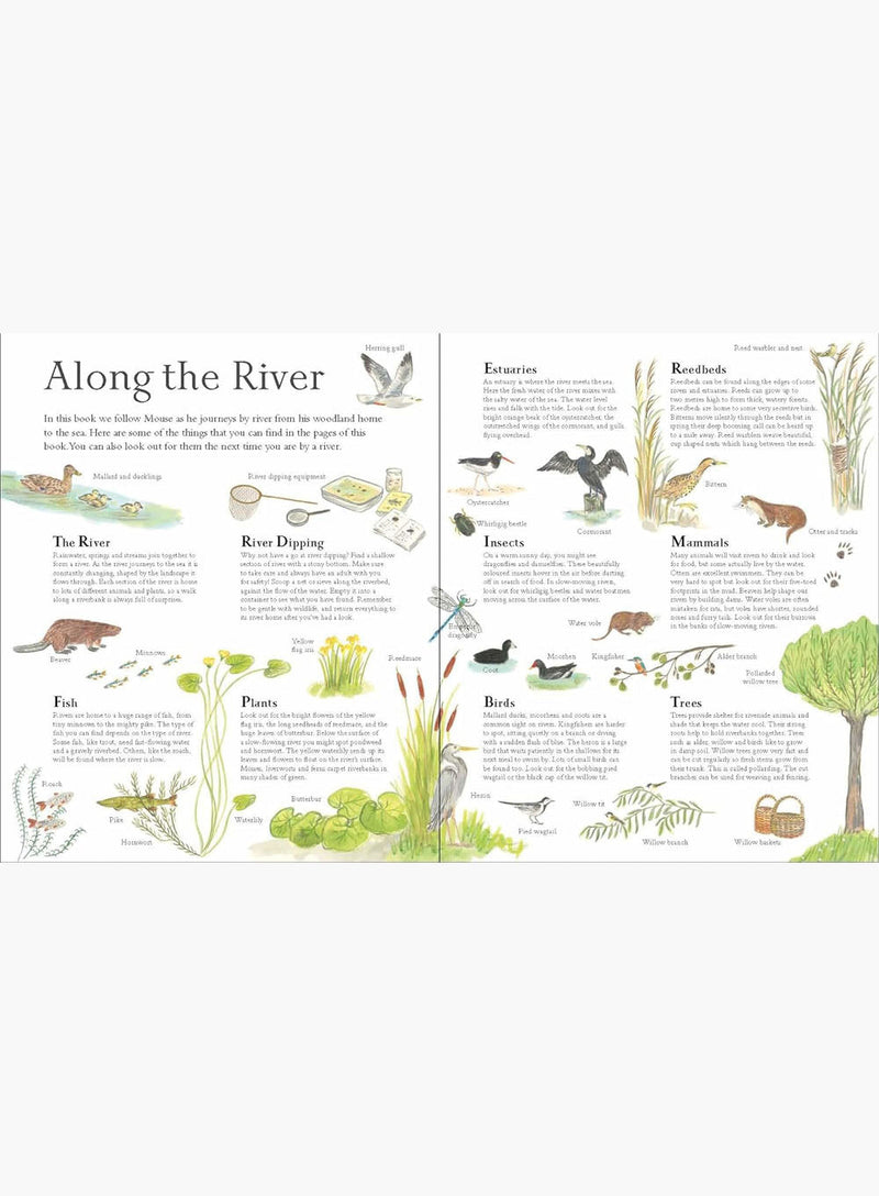 Alice Melvin Book Mouse on the River