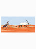 Dragan Kordic Book Pop-Up Planet: Animals Book