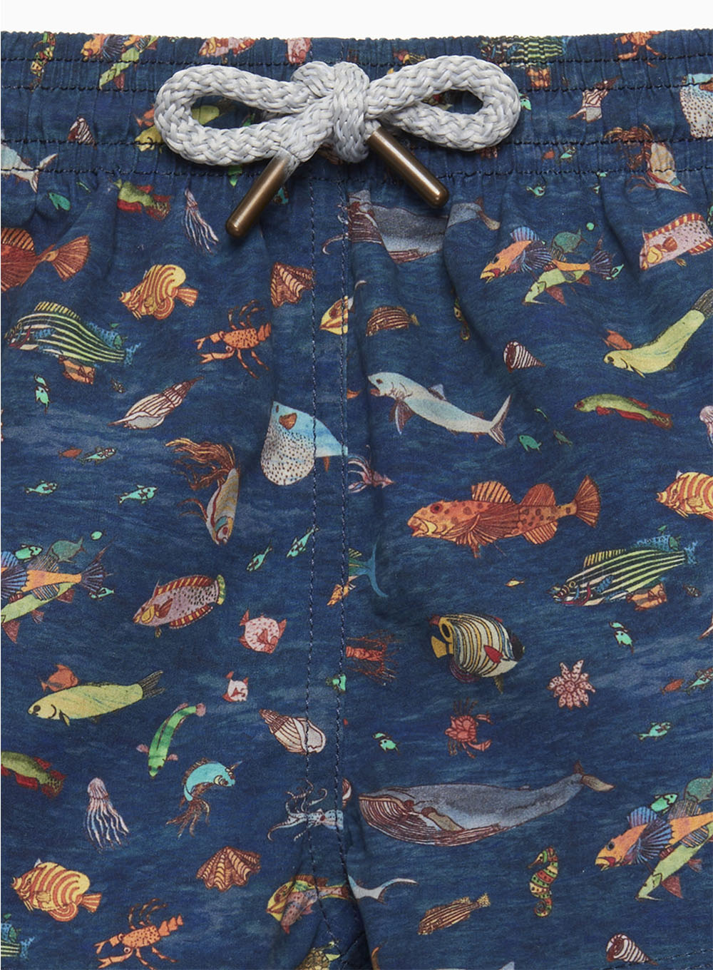 Hampton Swim Swimshorts Baby Swimshorts in Aquarium