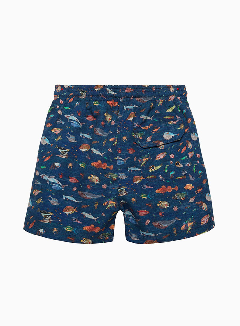 Hampton Swim Swimshorts Boys Swimshorts in Aquarium