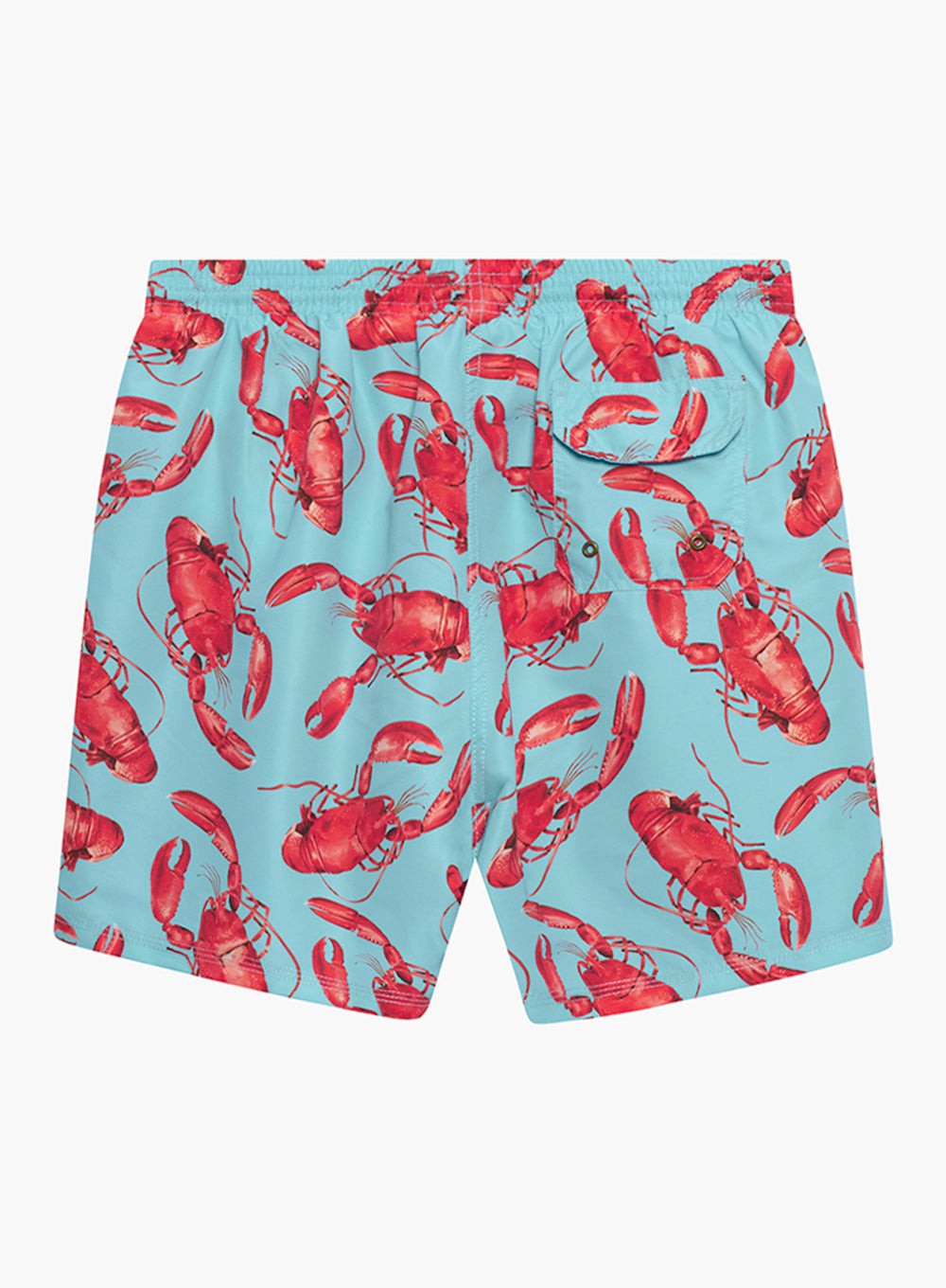 Hampton Swim Swimshorts Mens Daddy & Me  Swimshorts in Aqua Lobster