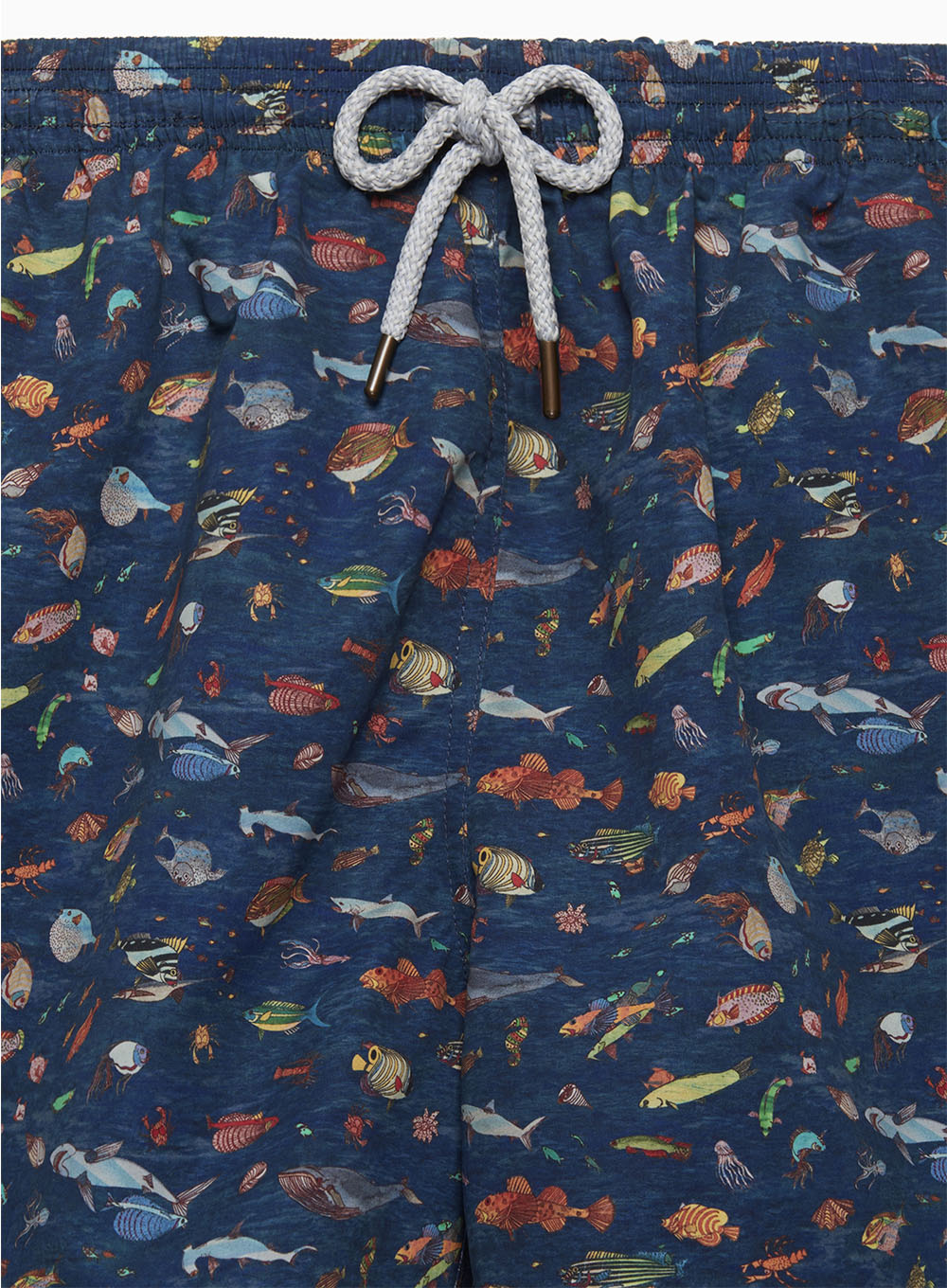 Hampton Swim Swimshorts Mens Daddy & Me Swimshorts in Aquarium