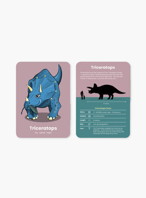 Happy Little Doers Toy Happy Little Doers Dinosaur Activity Flashcards