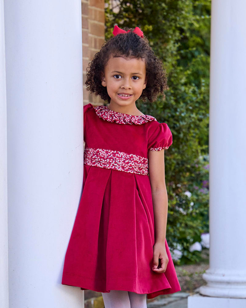 Lily Rose Gold Dress Velvet Party Dress in Red Misti Valeria