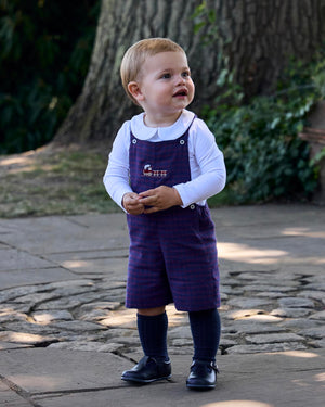 Chelsea Clothing Company Bib Shorts Baby Alfie Bib Shorts in Train